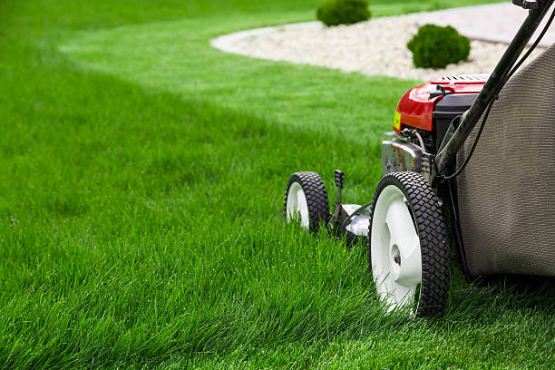 Commercial Mower